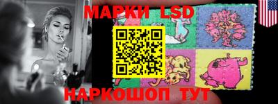 мдпв Кингисепп